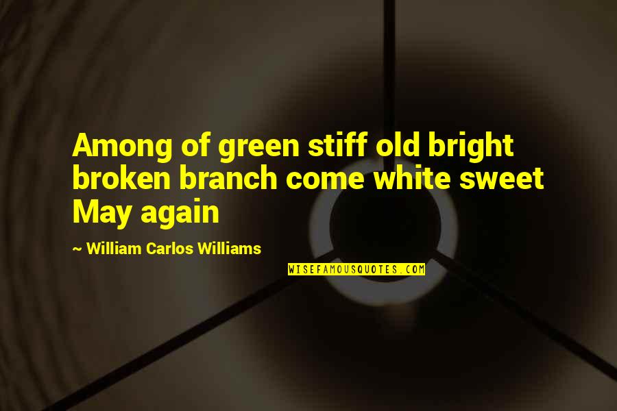 Branch Out Quotes By William Carlos Williams: Among of green stiff old bright broken branch