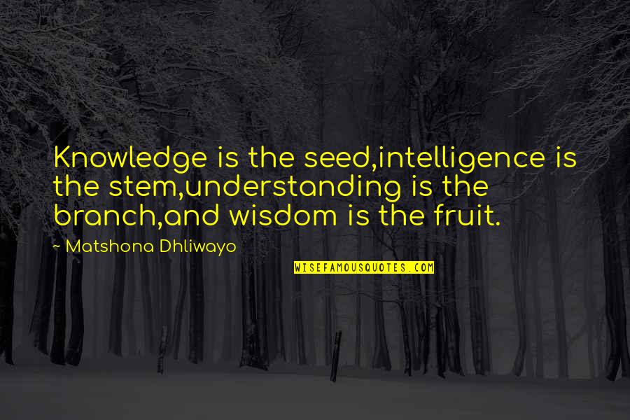 Branch Quotes By Matshona Dhliwayo: Knowledge is the seed,intelligence is the stem,understanding is