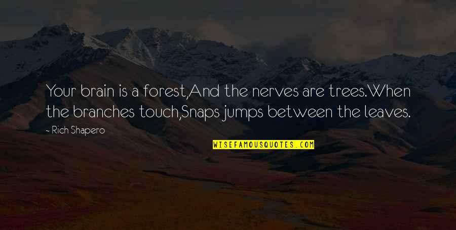 Branches And Leaves Quotes By Rich Shapero: Your brain is a forest,And the nerves are Branches And Leaves Quotes By Rich Shapero: Your brain is a forest,And the nerves are