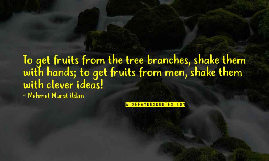 Branches Of A Tree Quotes By Mehmet Murat Ildan: To get fruits from the tree branches, shake