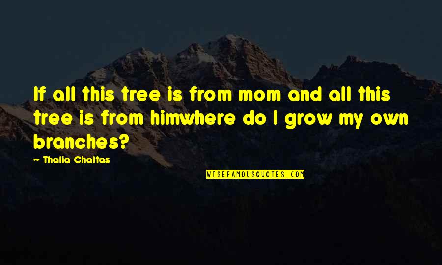 Branches Of A Tree Quotes By Thalia Chaltas: If all this tree is from mom and