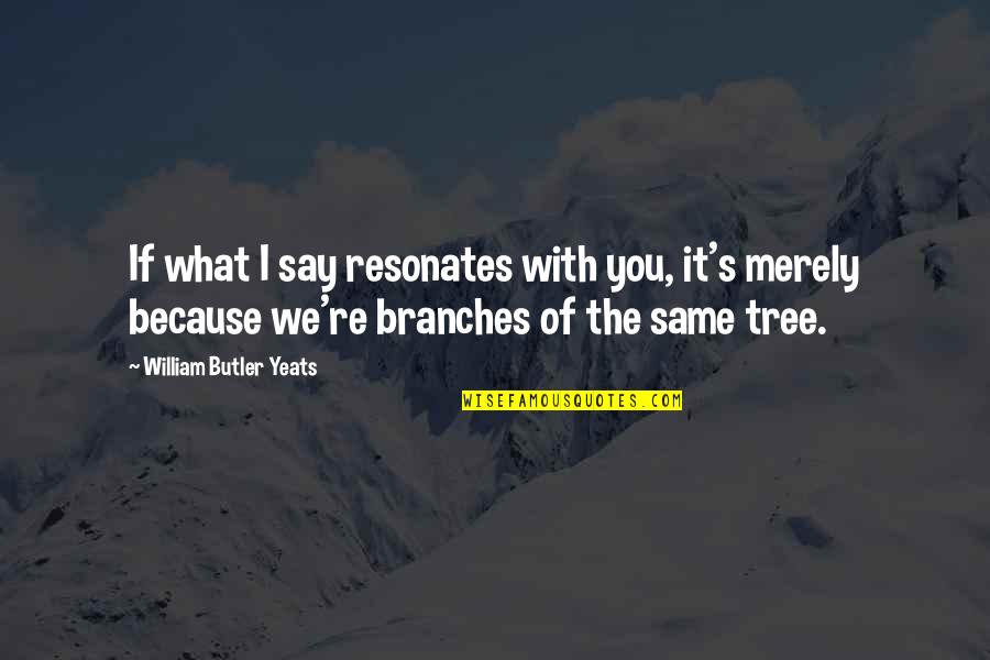 Branches Of A Tree Quotes By William Butler Yeats: If what I say resonates with you, it's