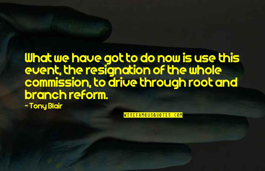 Branches Quotes By Tony Blair: What we have got to do now is