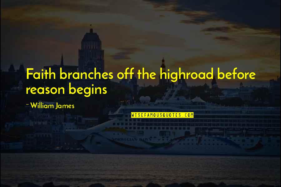 Branches Quotes By William James: Faith branches off the highroad before reason begins