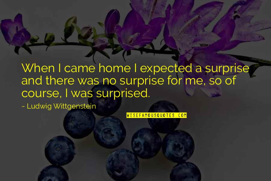 Branciforti Quotes By Ludwig Wittgenstein: When I came home I expected a surprise