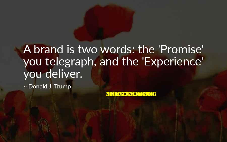Brand Experience Quotes By Donald J. Trump: A brand is two words: the 'Promise' you
