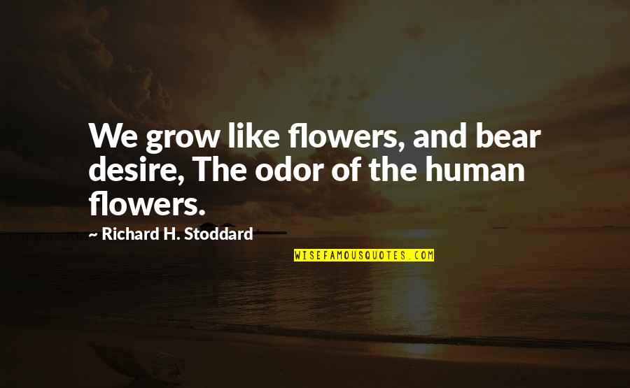 Brand Management Quotes By Richard H. Stoddard: We grow like flowers, and bear desire, The