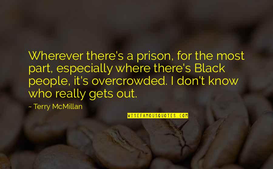 Brand New Day Funny Quotes By Terry McMillan: Wherever there's a prison, for the most part,