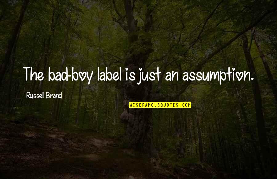 Brand Quotes By Russell Brand: The bad-boy label is just an assumption.