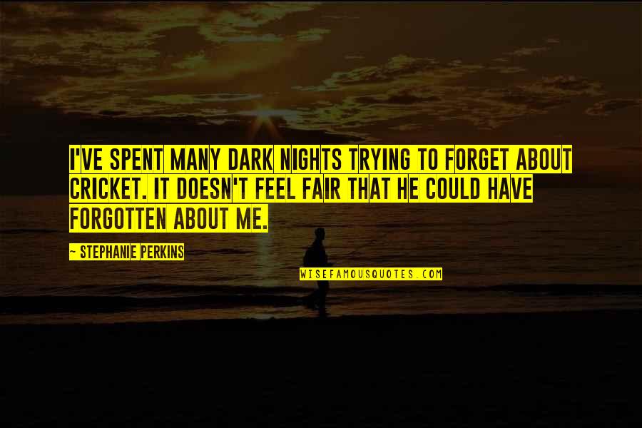 Brandeis University European Studies Quotes By Stephanie Perkins: I've spent many dark nights trying to forget