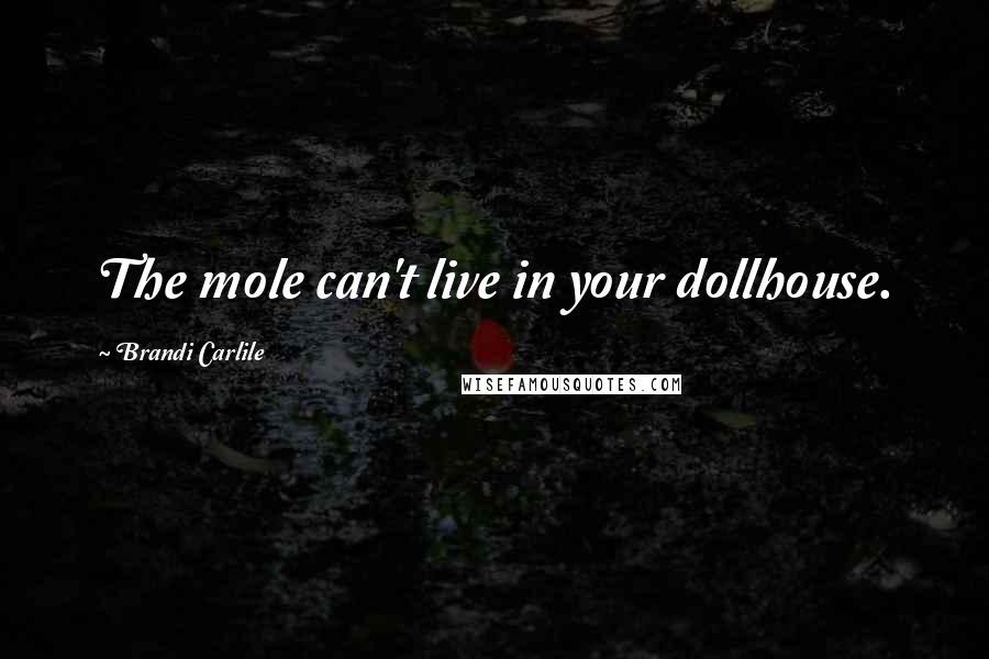 Brandi Carlile quotes: The mole can't live in your dollhouse.