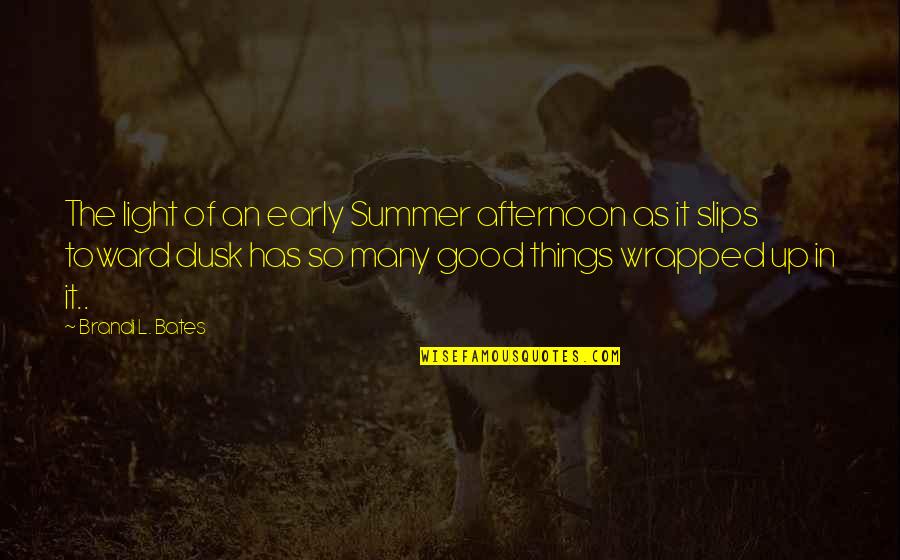 Brandi L Bates Quotes By Brandi L. Bates: The light of an early Summer afternoon as