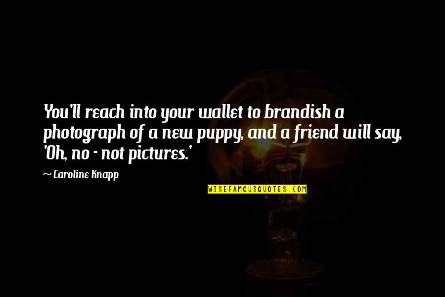 Brandish Quotes By Caroline Knapp: You'll reach into your wallet to brandish a