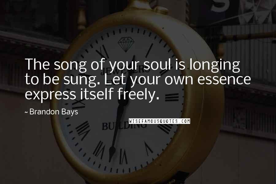 Brandon Bays quotes: The song of your soul is longing to be sung. Let your own essence express itself freely.