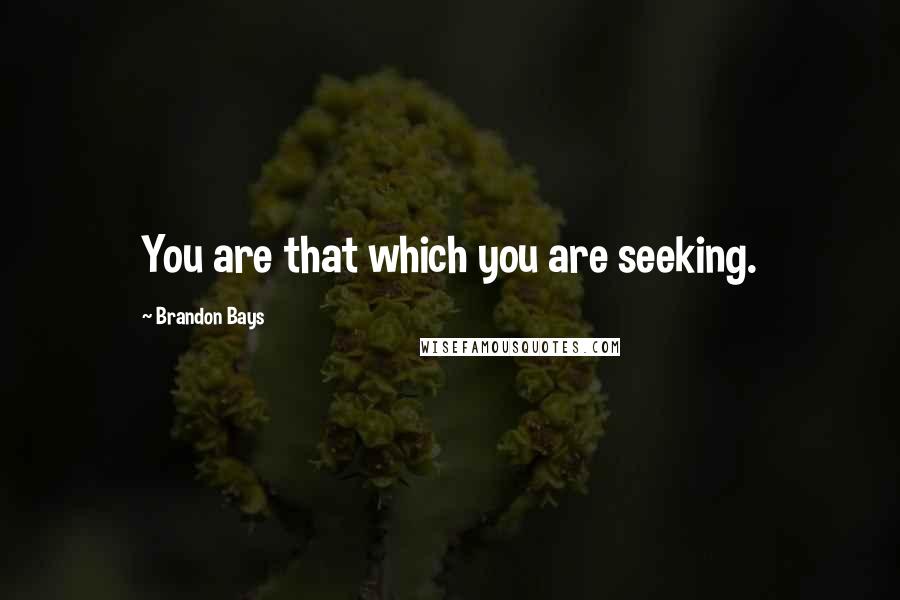 Brandon Bays quotes: You are that which you are seeking.