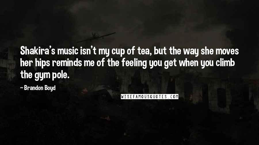 Brandon Boyd quotes: Shakira's music isn't my cup of tea, but the way she moves her hips reminds me of the feeling you get when you climb the gym pole. Brandon Boyd quotes: Shakira's music isn't my cup of tea, but the way she moves her hips reminds me of the feeling you get when you climb the gym pole.
