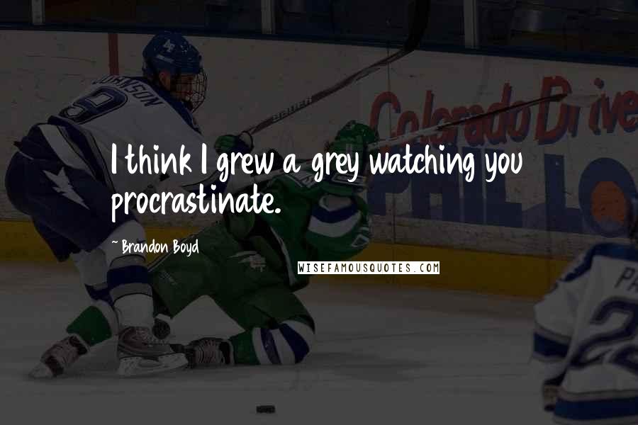 Brandon Boyd quotes: I think I grew a grey watching you procrastinate.