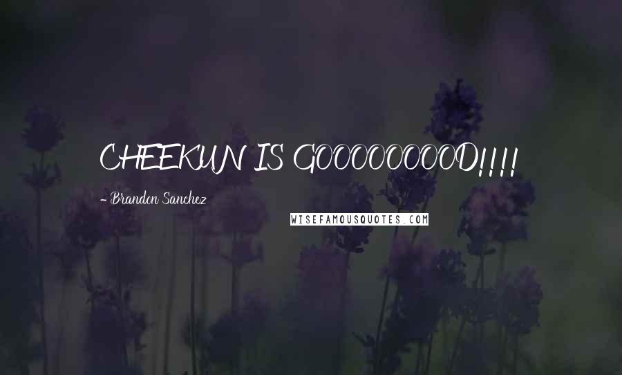 Brandon Sanchez quotes: CHEEKUN IS GOOOOOOOOD!!!!