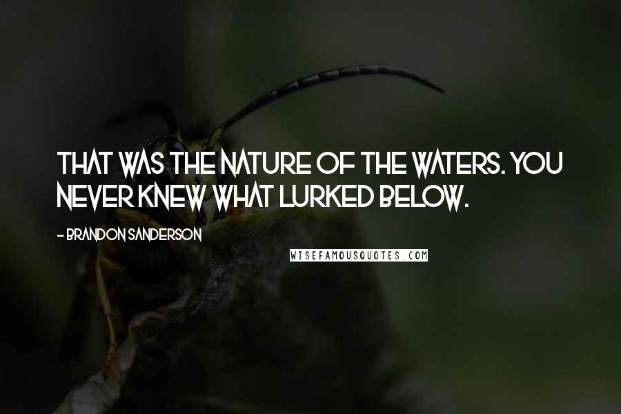 Brandon Sanderson quotes: That was the nature of the waters. You never knew what lurked below.