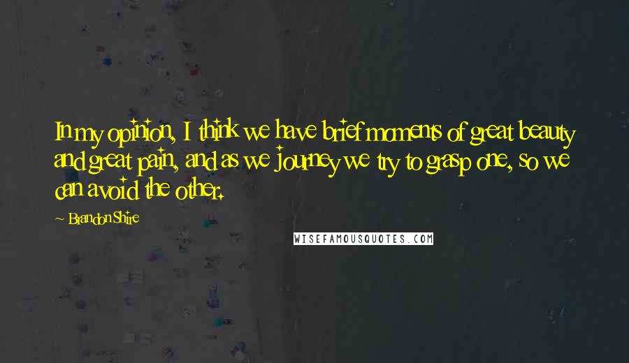 Brandon Shire quotes: In my opinion, I think we have brief moments of great beauty and great pain, and as we journey we try to grasp one, so we can avoid the other.