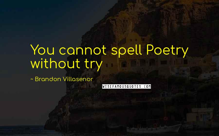 Brandon Villasenor quotes: You cannot spell Poetry without try