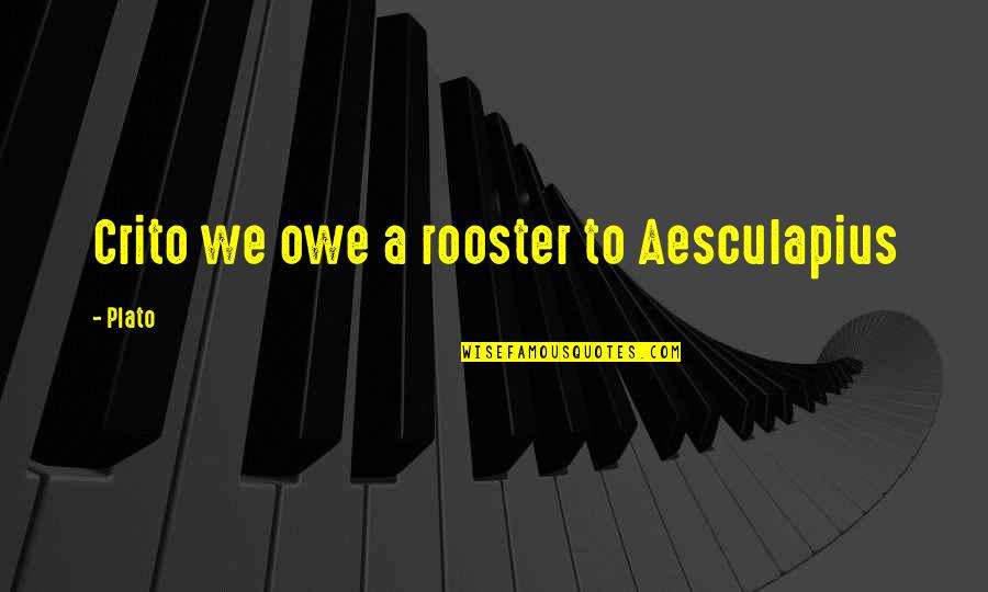 Brandrick Williams Quotes By Plato: Crito we owe a rooster to Aesculapius