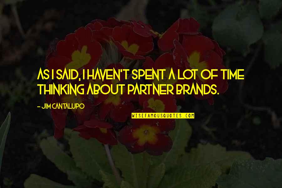 Brands And Their Quotes By Jim Cantalupo: As I said, I haven't spent a lot