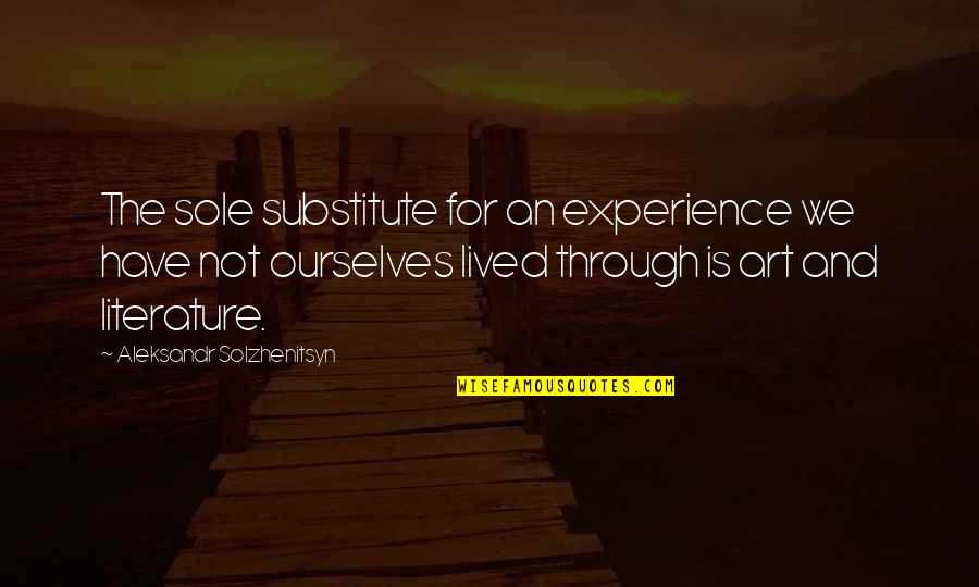 Brandstetter Tax Quotes By Aleksandr Solzhenitsyn: The sole substitute for an experience we have