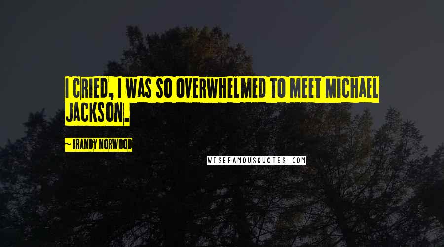 Brandy Norwood quotes: I cried, I was so overwhelmed to meet Michael Jackson.