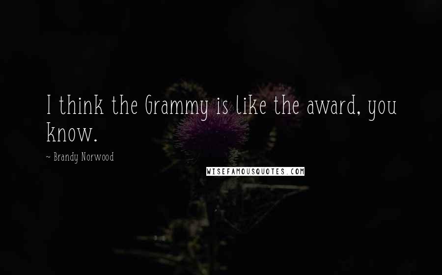 Brandy Norwood quotes: I think the Grammy is like the award, you know.