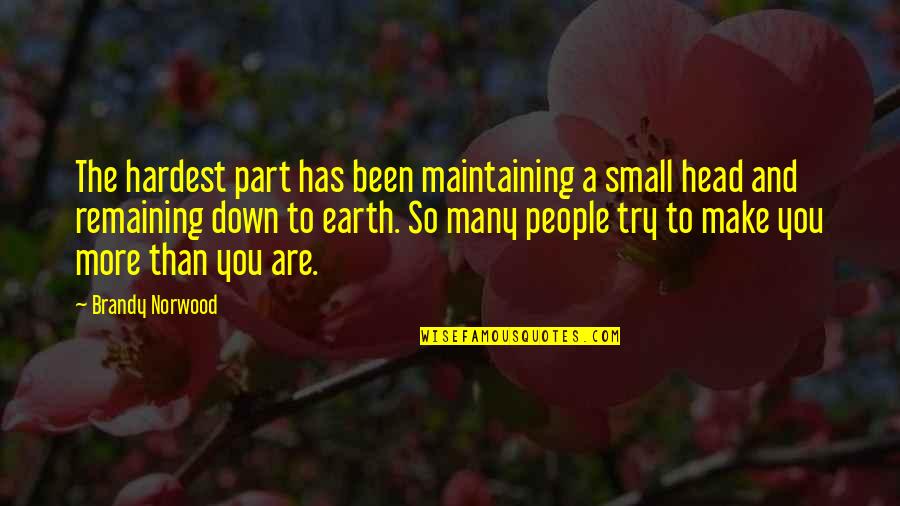 Brandy Norwood Quotes By Brandy Norwood: The hardest part has been maintaining a small
