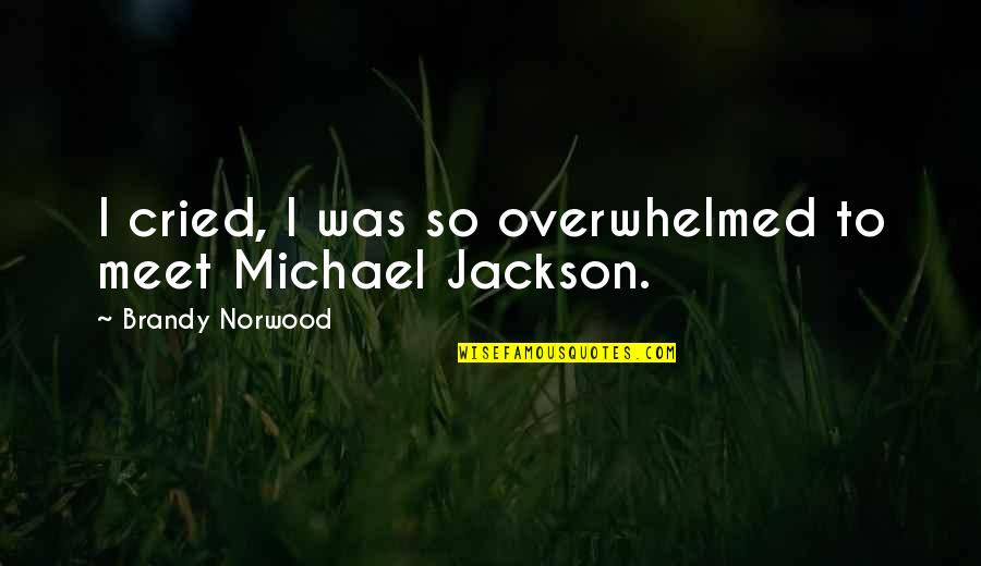 Brandy Quotes By Brandy Norwood: I cried, I was so overwhelmed to meet Brandy Quotes By Brandy Norwood: I cried, I was so overwhelmed to meet
