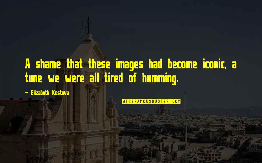 Brangiausios Quotes By Elizabeth Kostova: A shame that these images had become iconic,