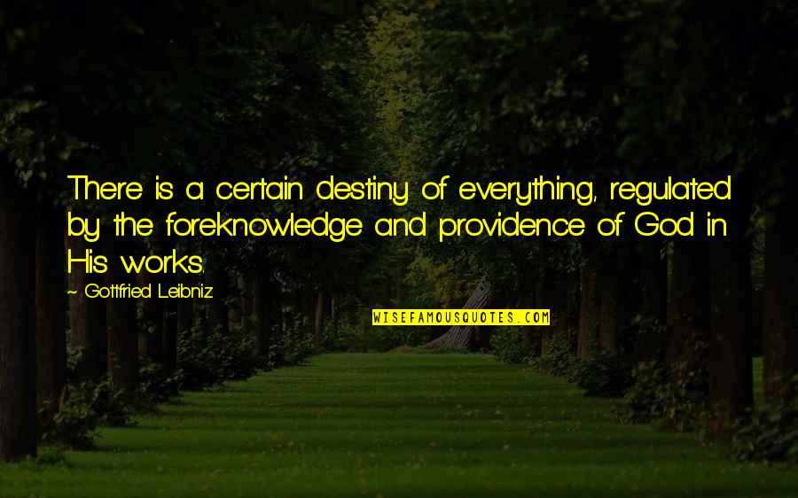 Brankica Rudan Quotes By Gottfried Leibniz: There is a certain destiny of everything, regulated