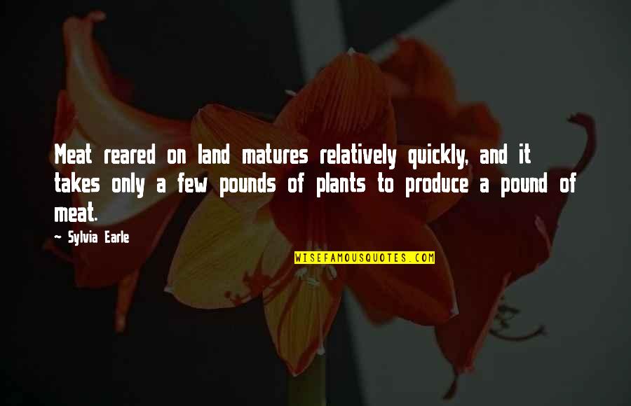 Brankovic Zoran Quotes By Sylvia Earle: Meat reared on land matures relatively quickly, and Brankovic Zoran Quotes By Sylvia Earle: Meat reared on land matures relatively quickly, and
