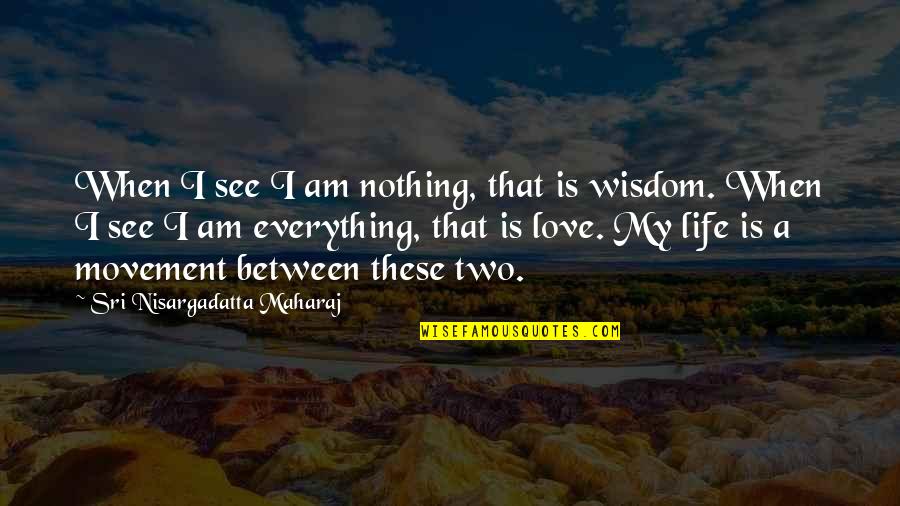 Branquinho Performance Quotes By Sri Nisargadatta Maharaj: When I see I am nothing, that is
