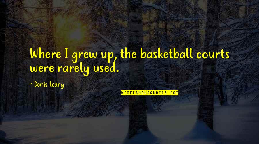 Brarely Quotes By Denis Leary: Where I grew up, the basketball courts were