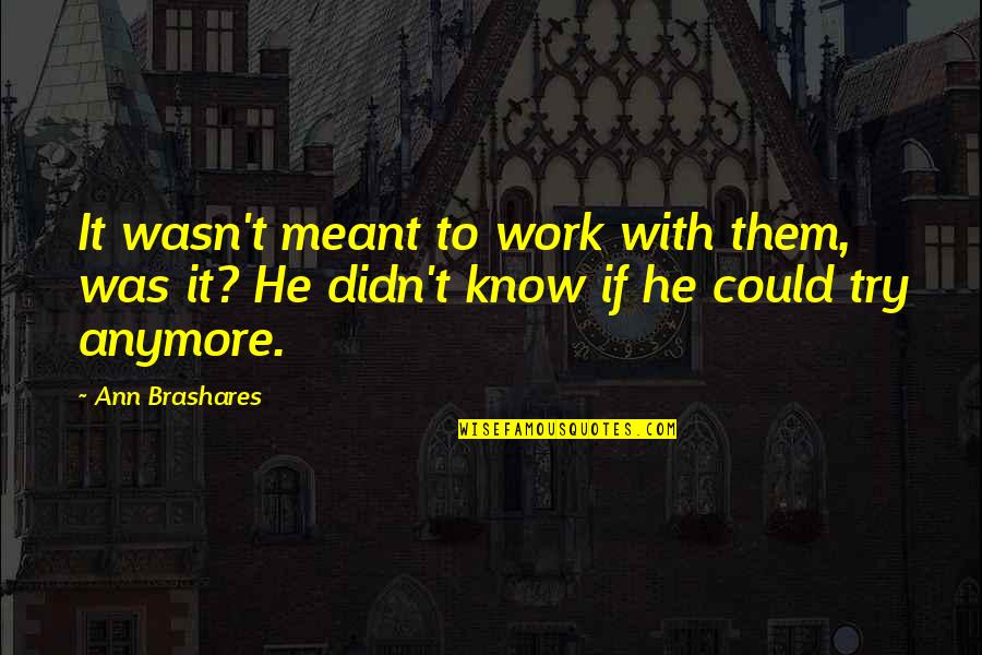 Brashares Ann Quotes By Ann Brashares: It wasn't meant to work with them, was