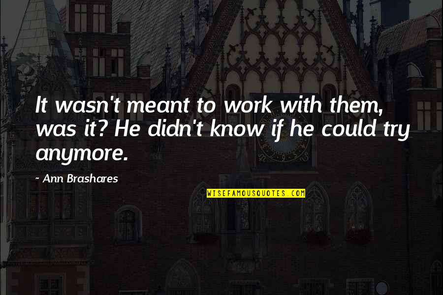 Brashares Quotes By Ann Brashares: It wasn't meant to work with them, was