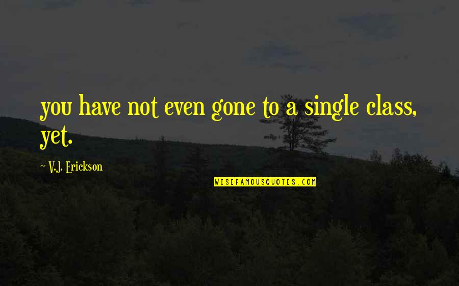 Brasov Quotes By V.J. Erickson: you have not even gone to a single