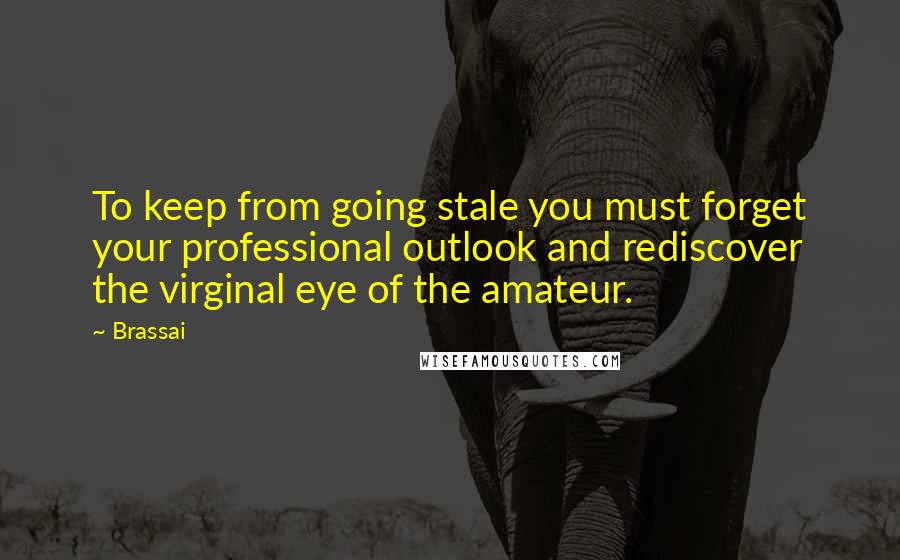Brassai quotes: To keep from going stale you must forget your professional outlook and rediscover the virginal eye of the amateur. Brassai quotes: To keep from going stale you must forget your professional outlook and rediscover the virginal eye of the amateur.