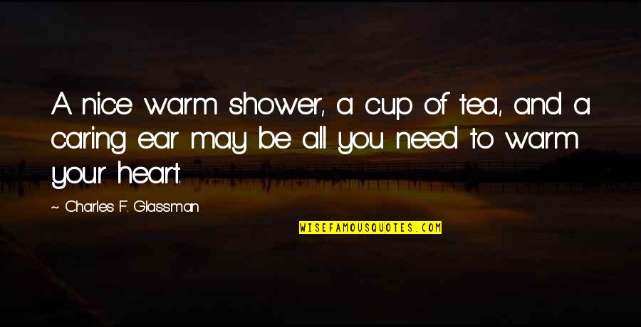 Brauchen Perfekt Quotes By Charles F. Glassman: A nice warm shower, a cup of tea,
