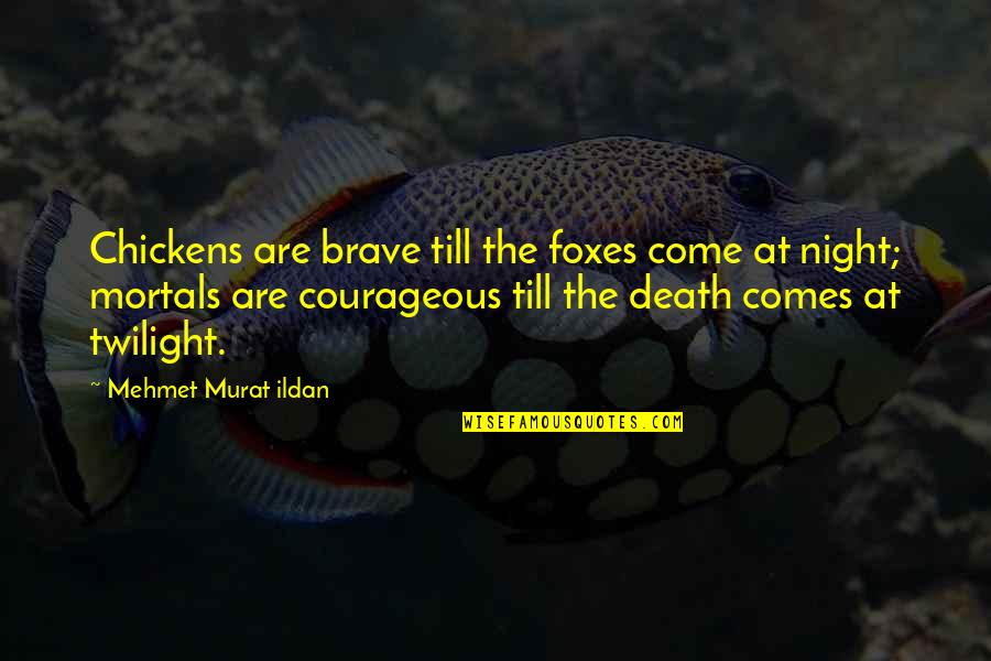 Brave Death Quotes By Mehmet Murat Ildan: Chickens are brave till the foxes come at
