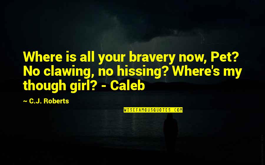 Bravery Is Quotes By C.J. Roberts: Where is all your bravery now, Pet? No