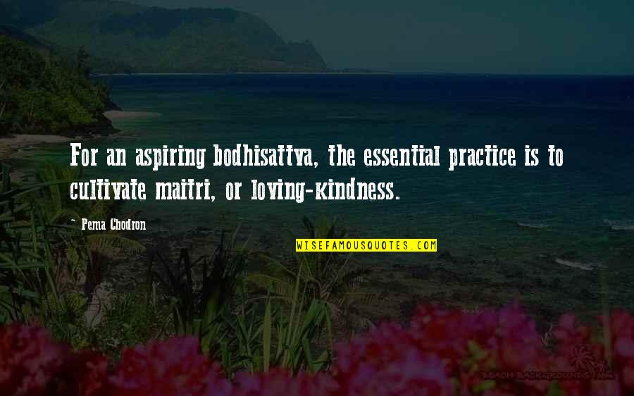 Brawls Quotes By Pema Chodron: For an aspiring bodhisattva, the essential practice is