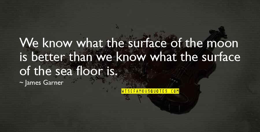 Brawner Renovations Quotes By James Garner: We know what the surface of the moon