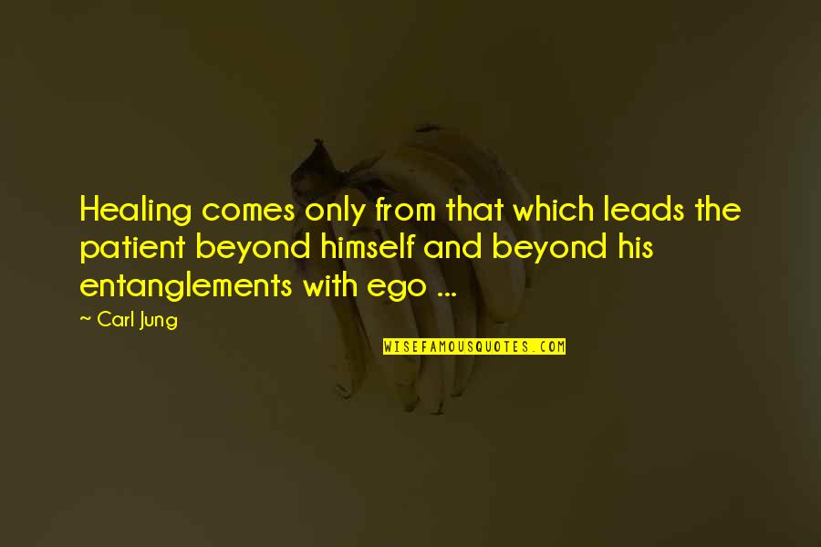 Brazelle Corporation Quotes By Carl Jung: Healing comes only from that which leads the Brazelle Corporation Quotes By Carl Jung: Healing comes only from that which leads the