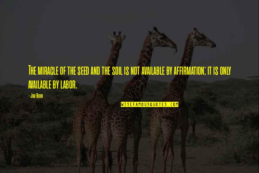 Brazuelo De Ternera Quotes By Jim Rohn: The miracle of the seed and the soil
