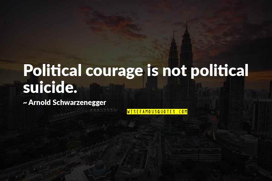 Brazzo Work Quotes By Arnold Schwarzenegger: Political courage is not political suicide.