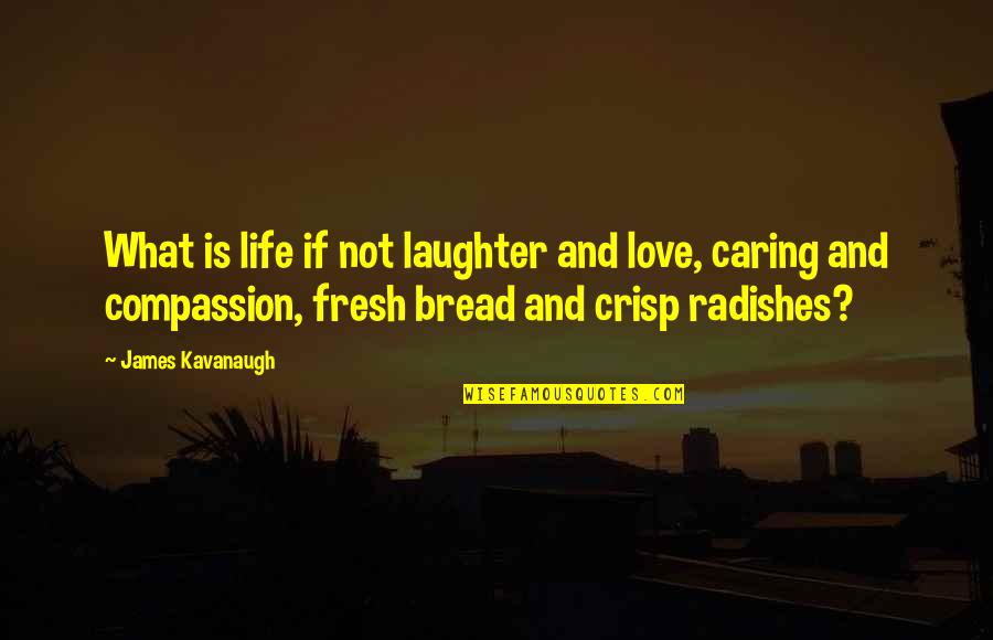 Bread And Life Quotes By James Kavanaugh: What is life if not laughter and love,